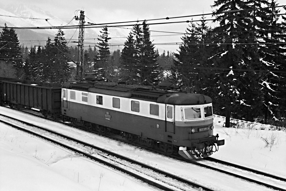 183 005-8