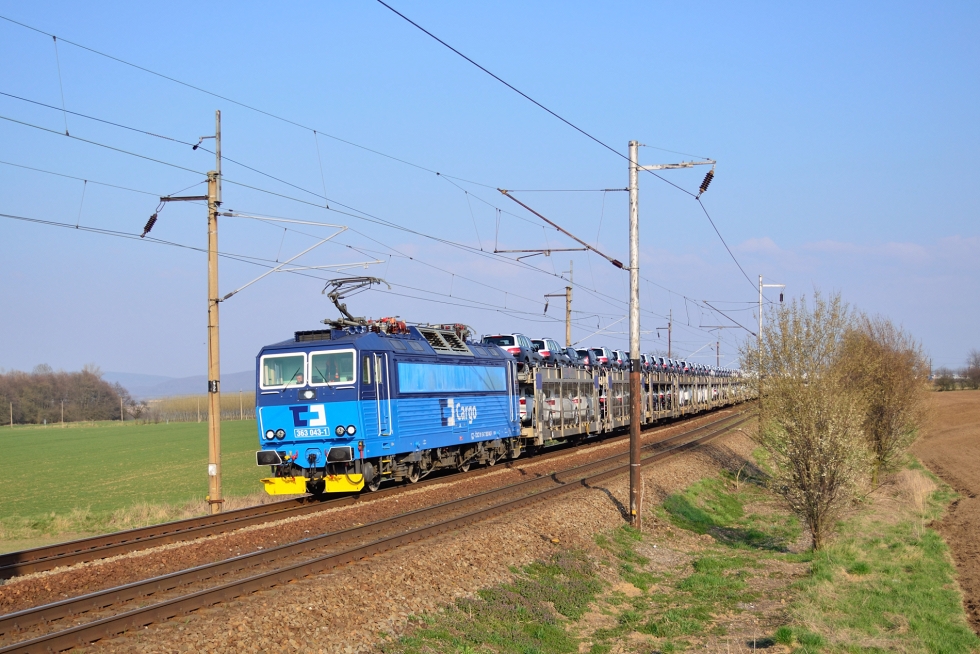 363 043-1