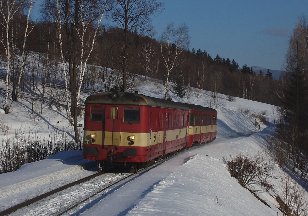831 233-2