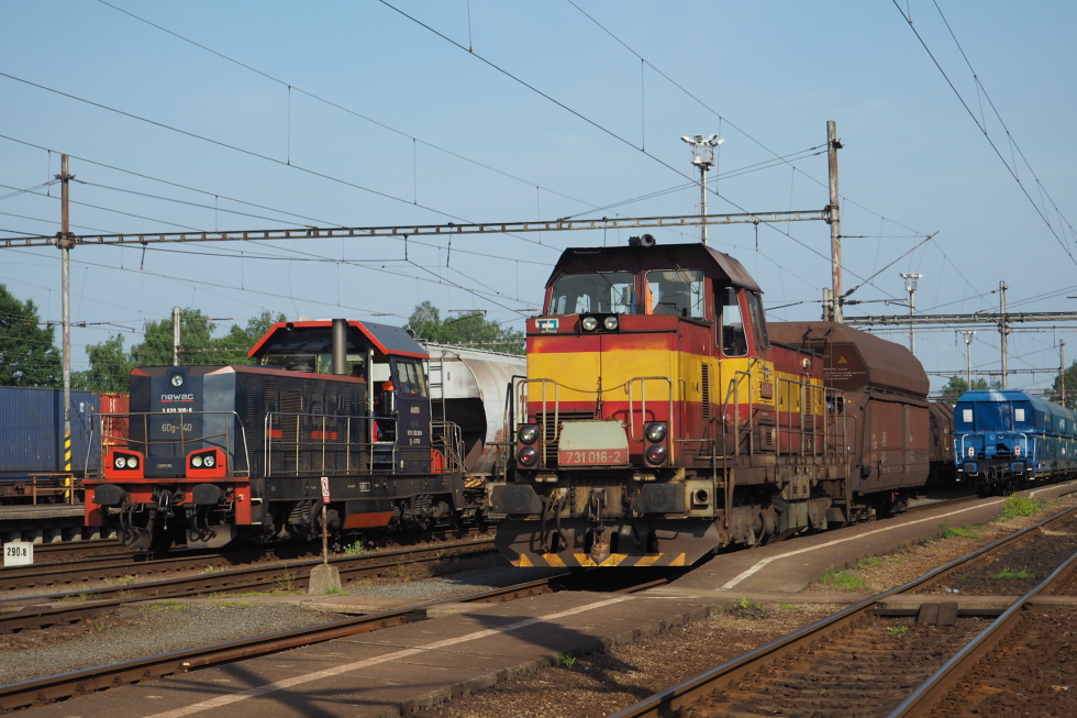 731 016-2