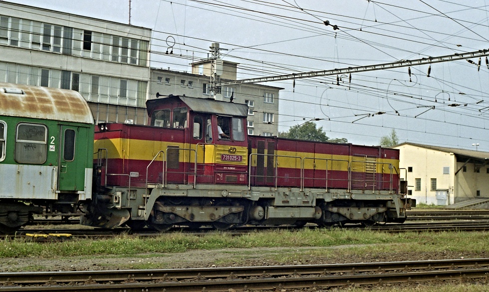 731 025-3