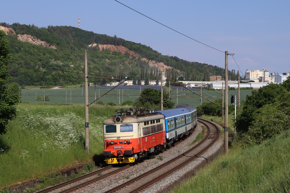 242 261-6