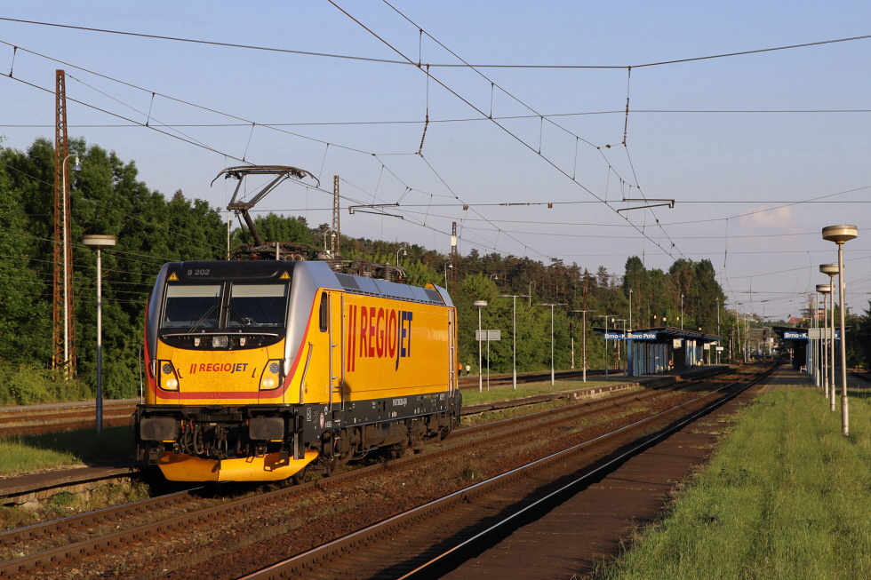 388 202-4
