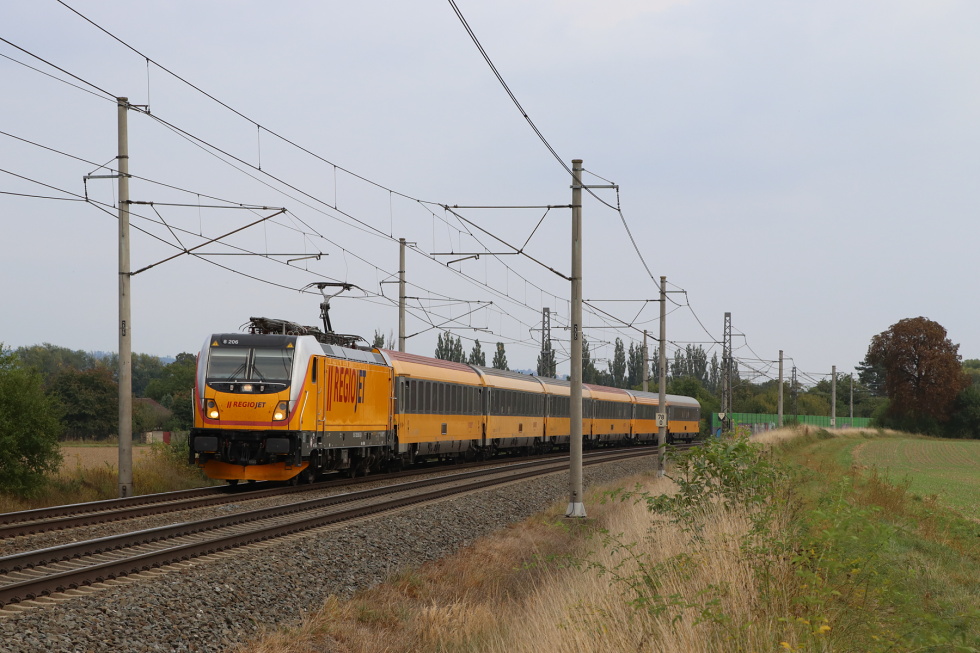 388 206-5