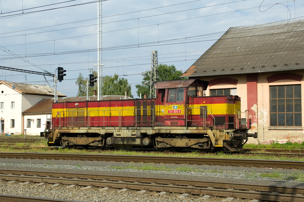 731 025-3