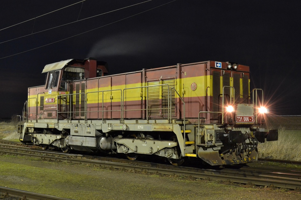 731 006-3