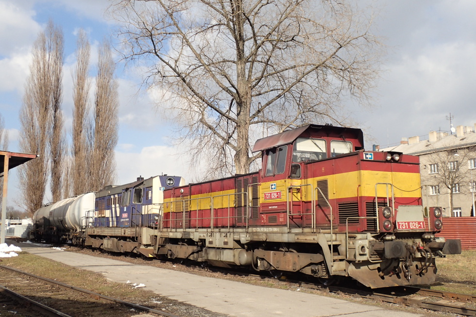 731 026-1