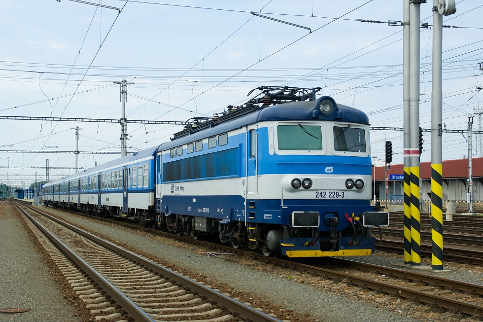 242 229-3