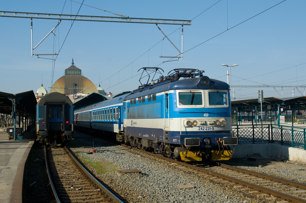 242 231-9