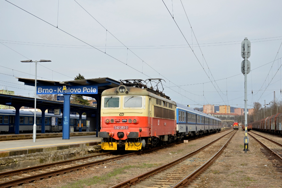 242 253-3