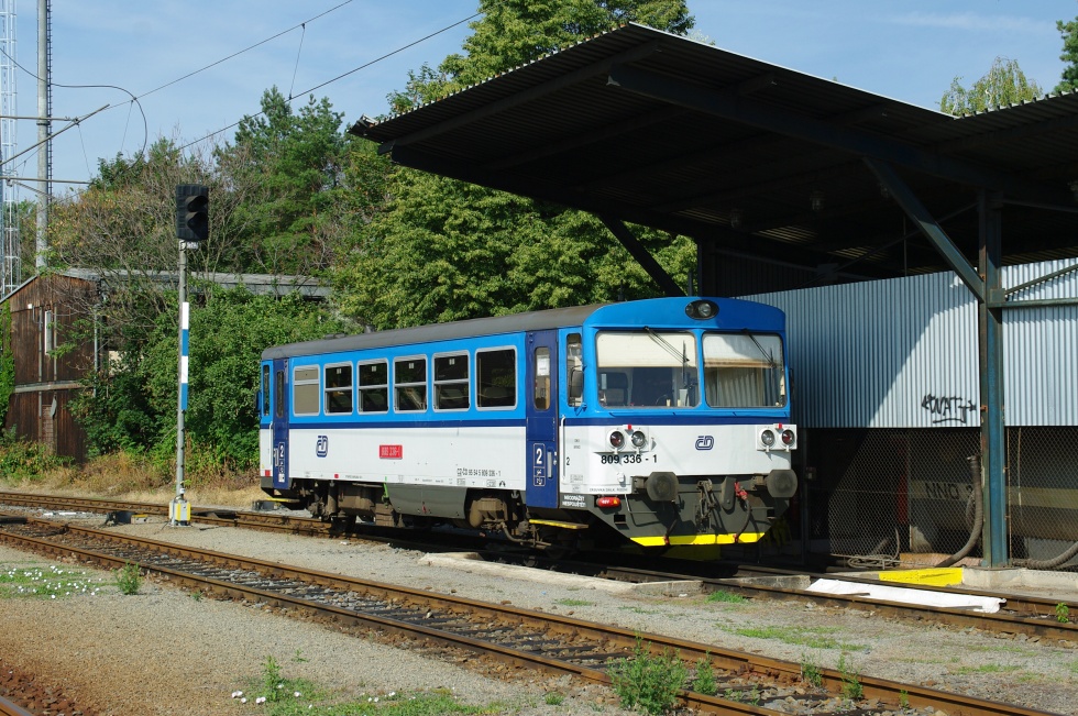 809 336-1