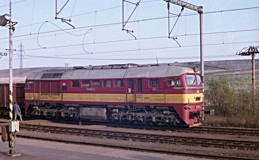 781 556-6