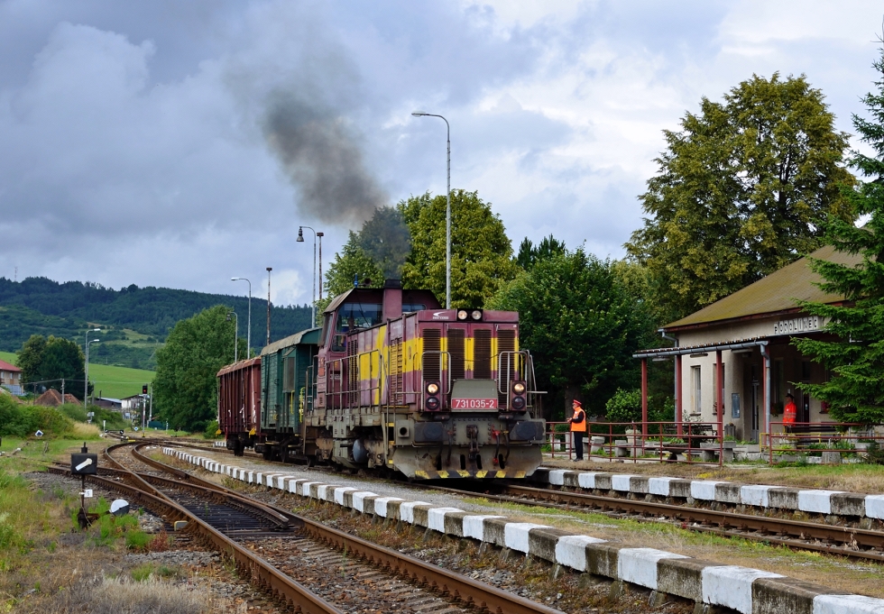 731 035-2