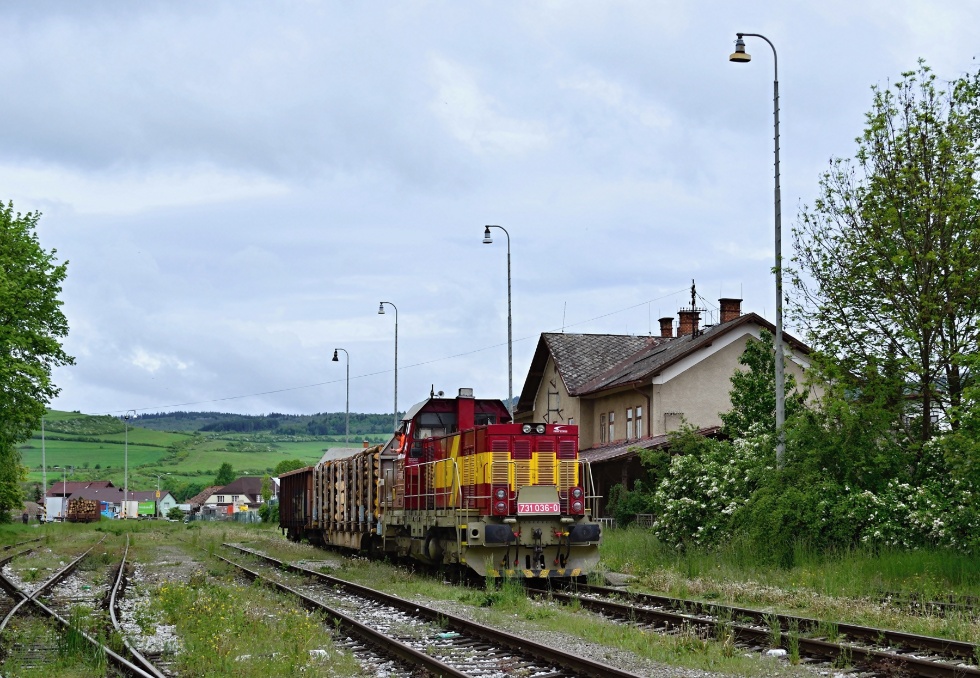 731 036-0