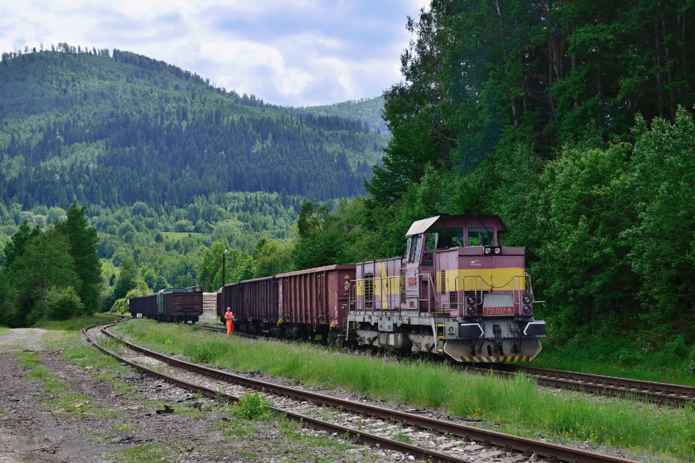 731 037-8
