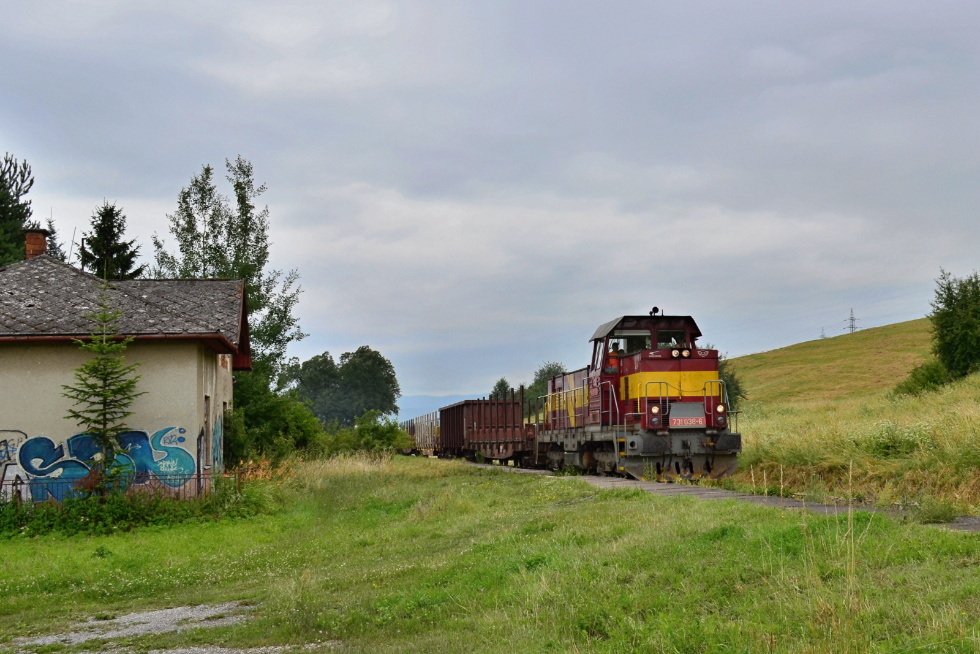 731 038-6