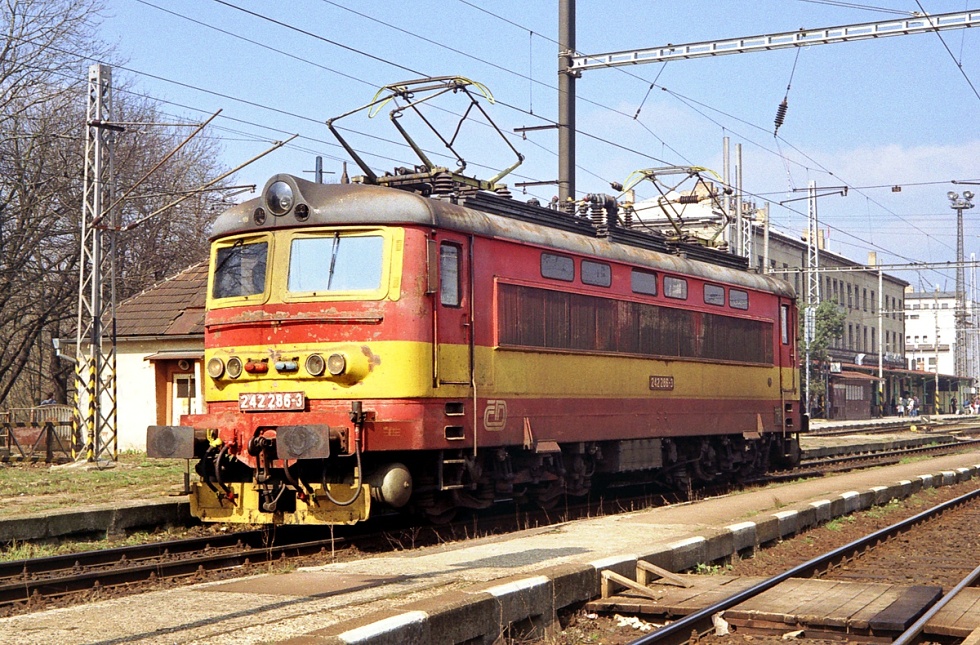 242 286-3