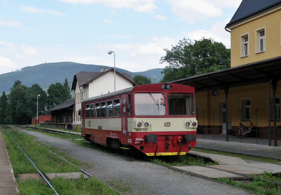 810 009-1