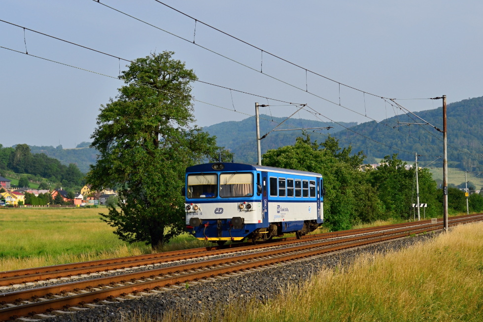 810 224-6