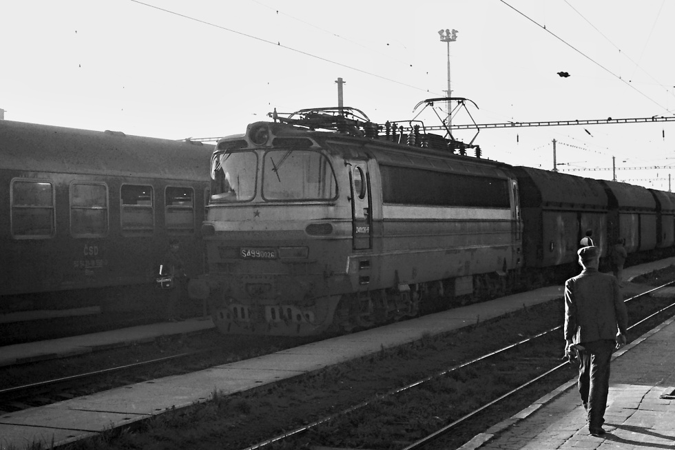 S499.0026