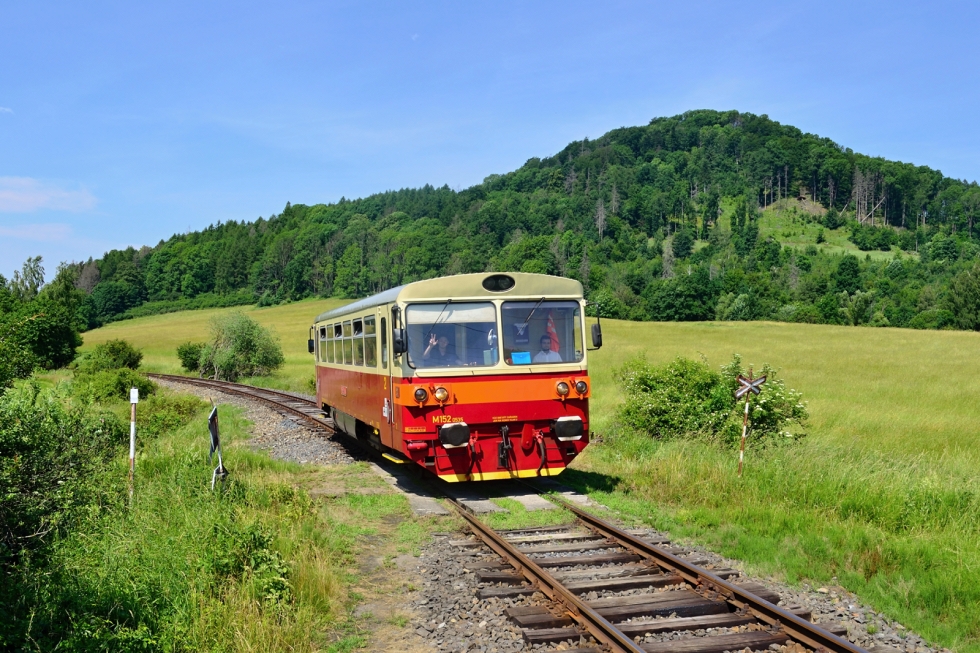 810 535-5
