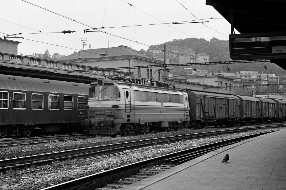 S499.0121