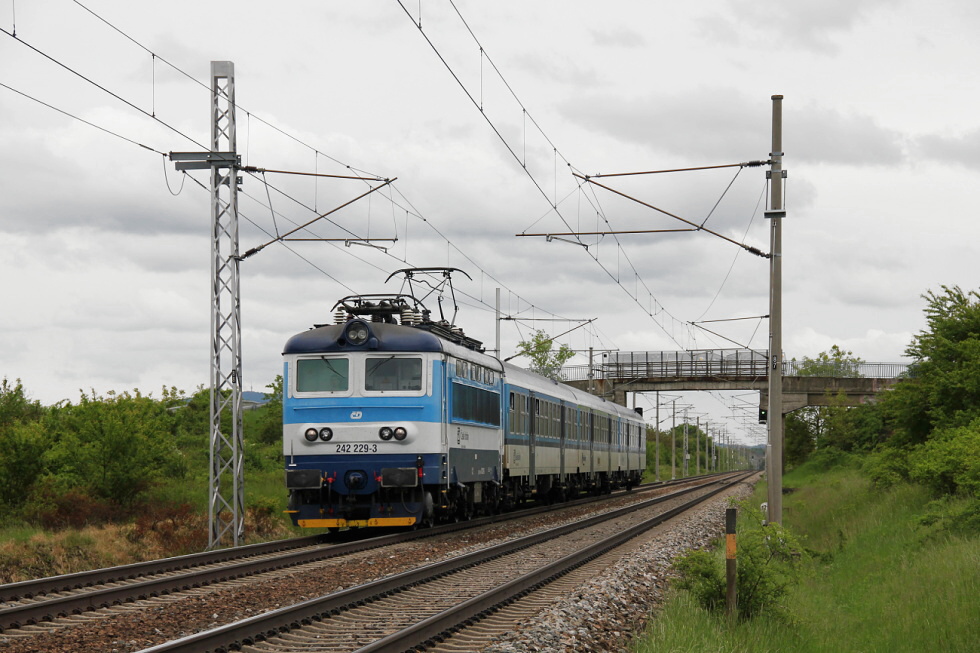 242 229-3