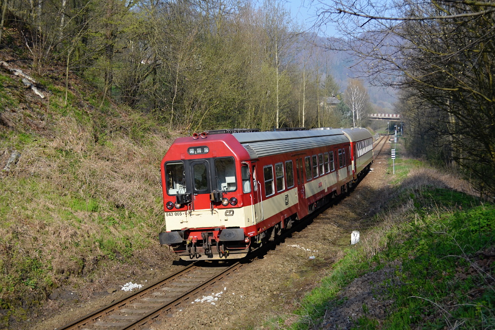 843 005-0