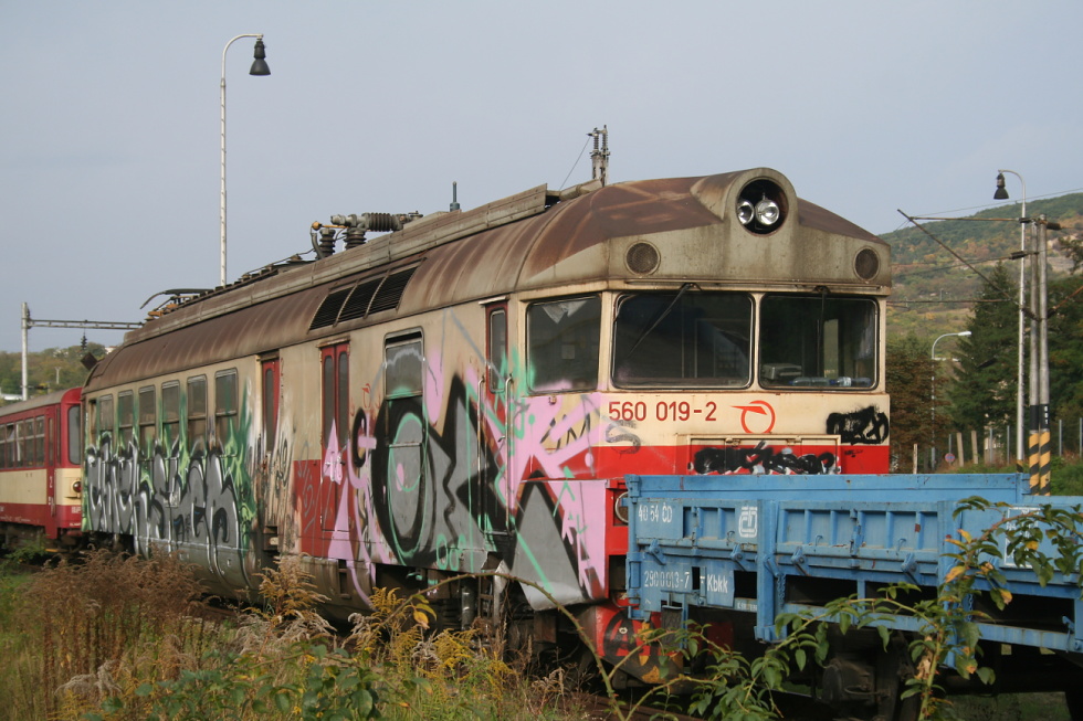 560 019-2