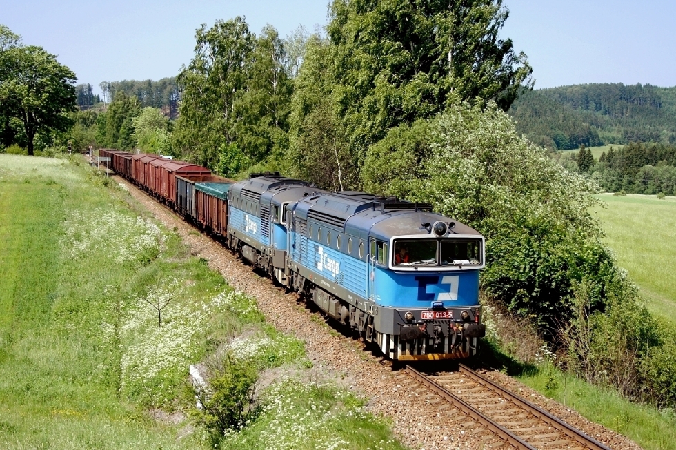 750 013-5