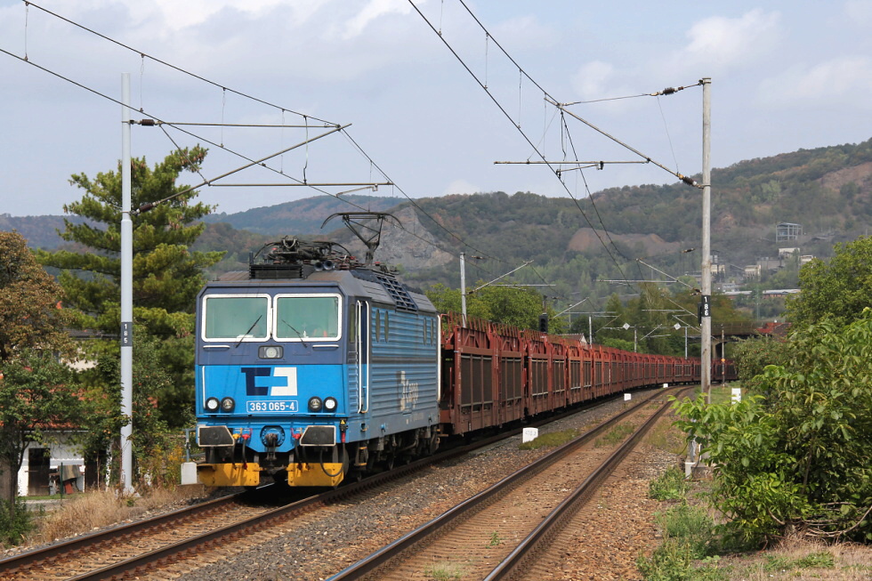 363 065-4
