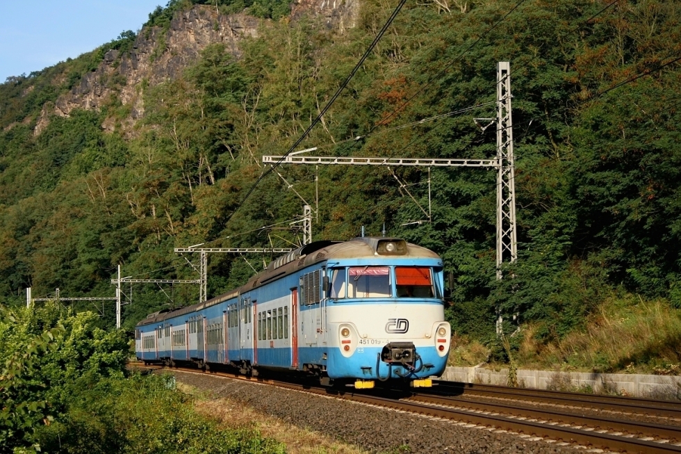 451 019-4