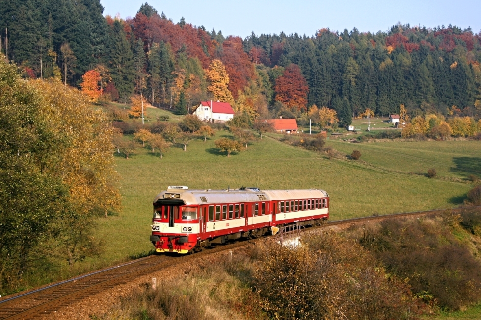 854 005-6