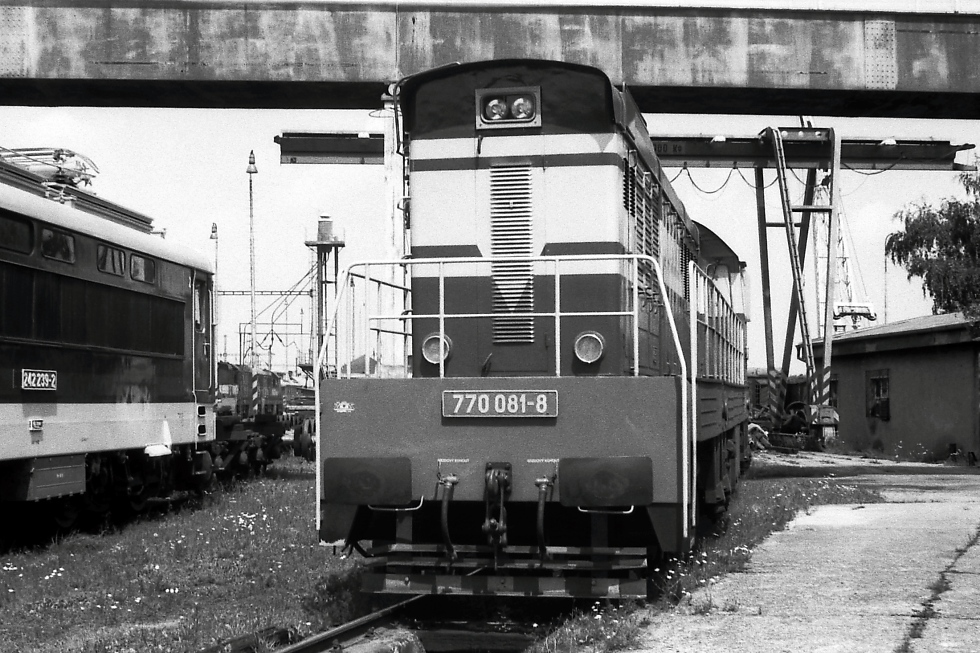 770 081-8