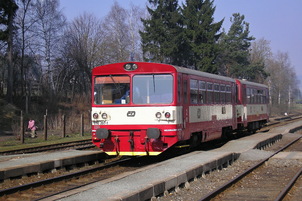 810 207-1