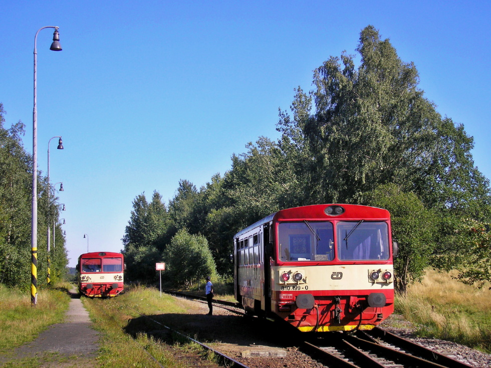 810 199-0
