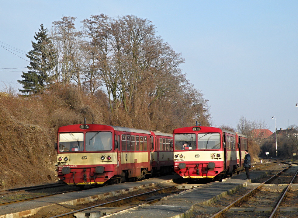 810 231-1