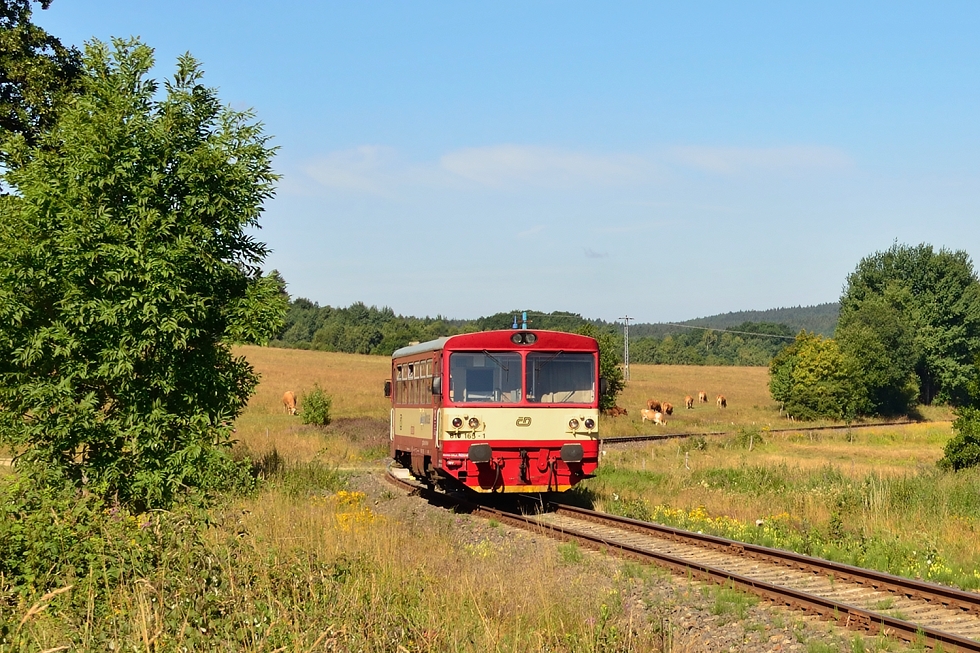 810 165-1