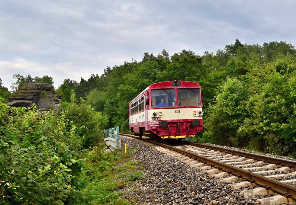 810 600-7