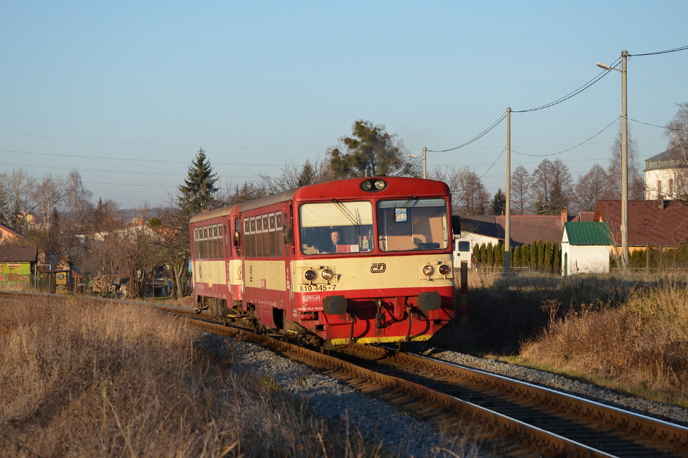810 445-7