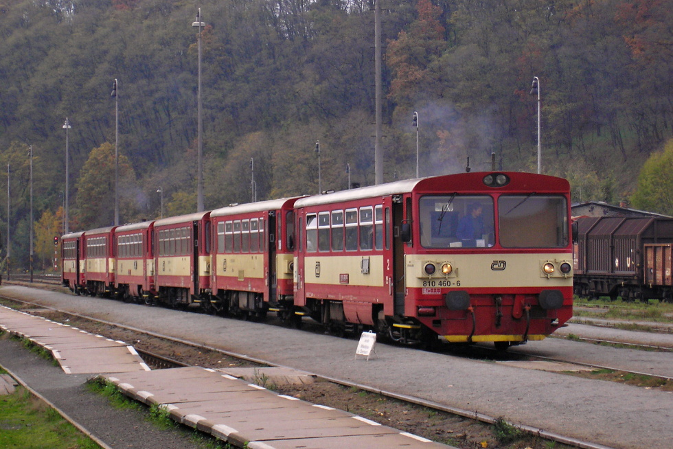 810 460-6