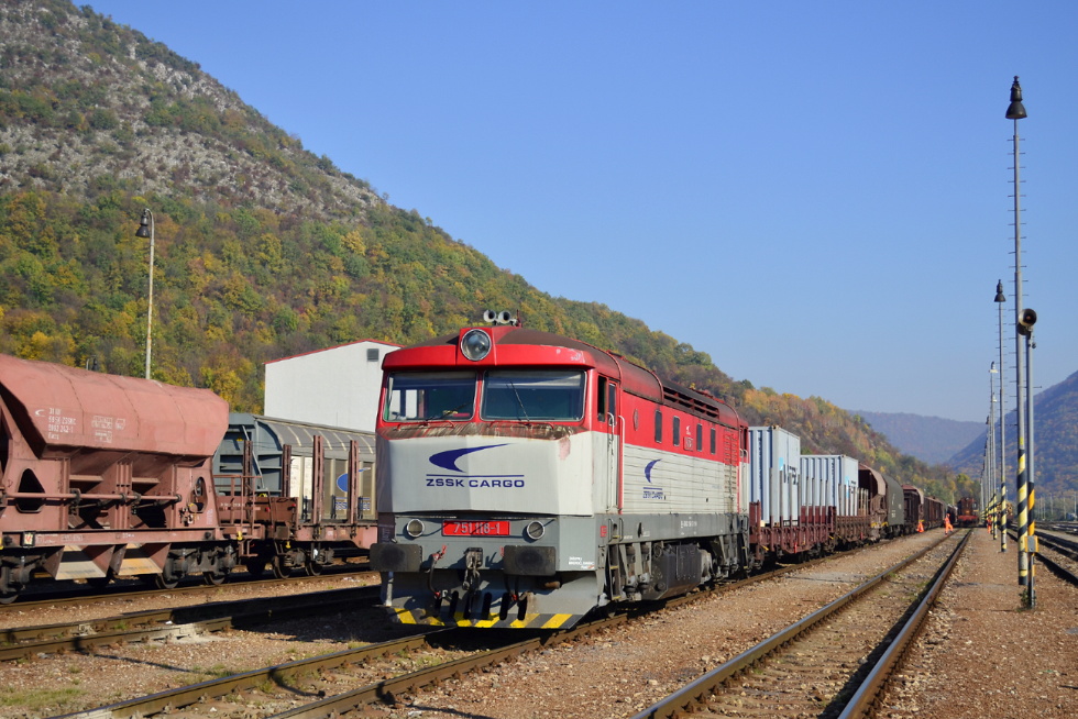 751 118-1