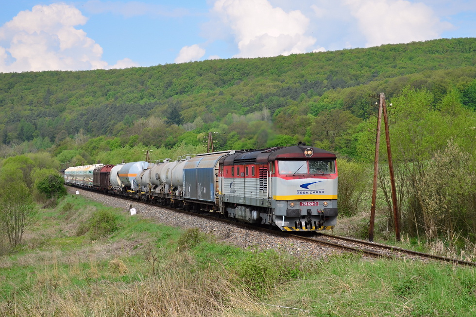 751 124-9