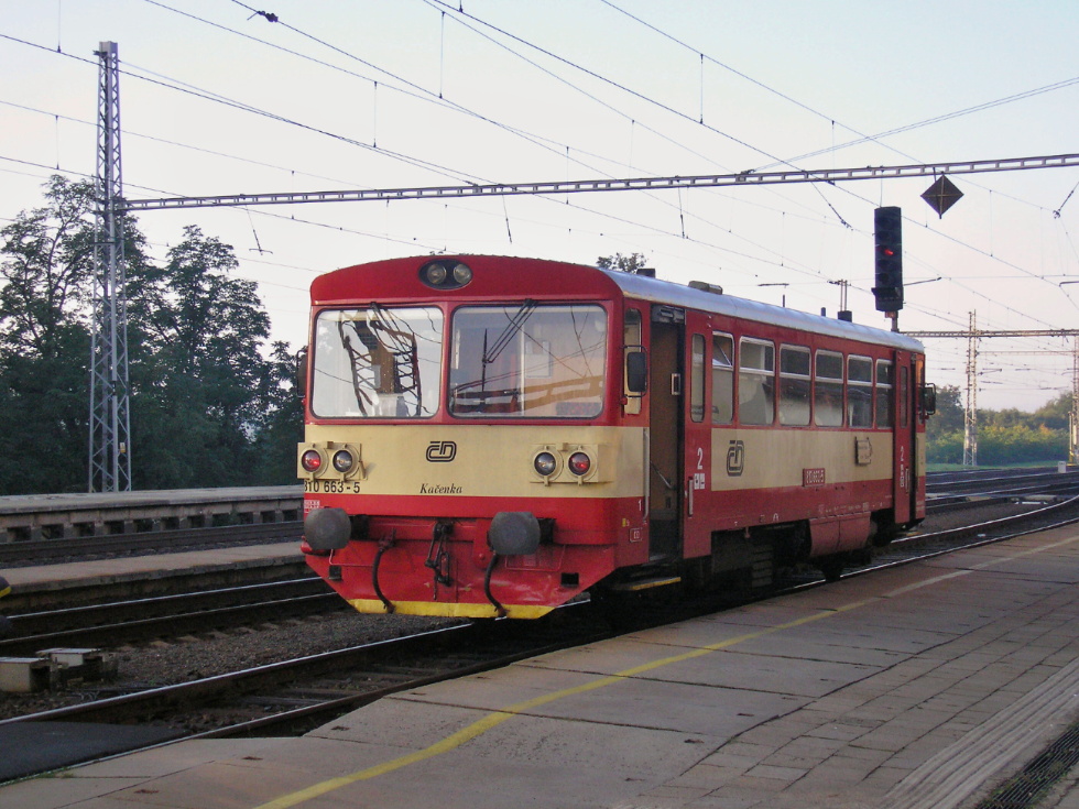 810 663-5