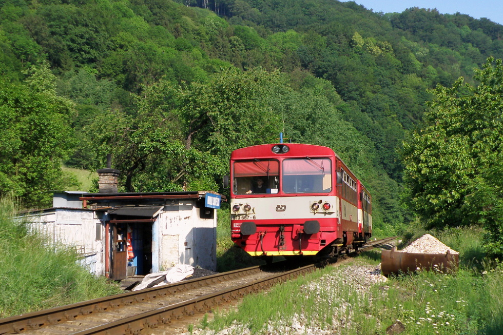 810 667-6