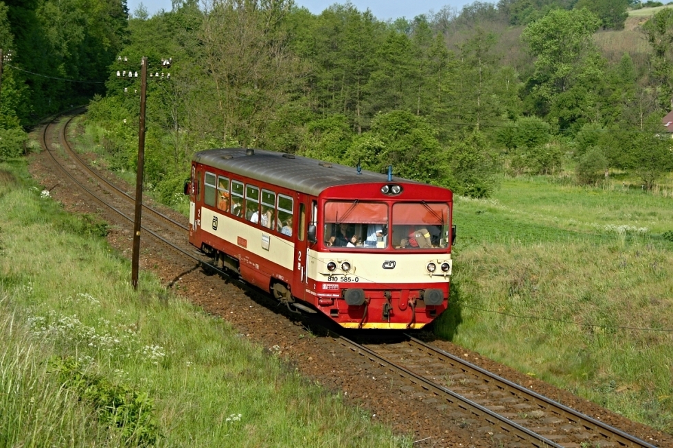 810 585-0