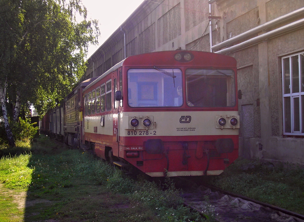 810 278-2
