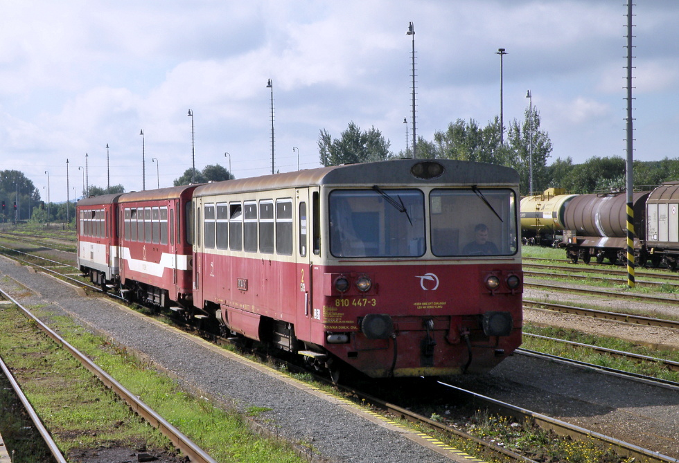 810 447-3