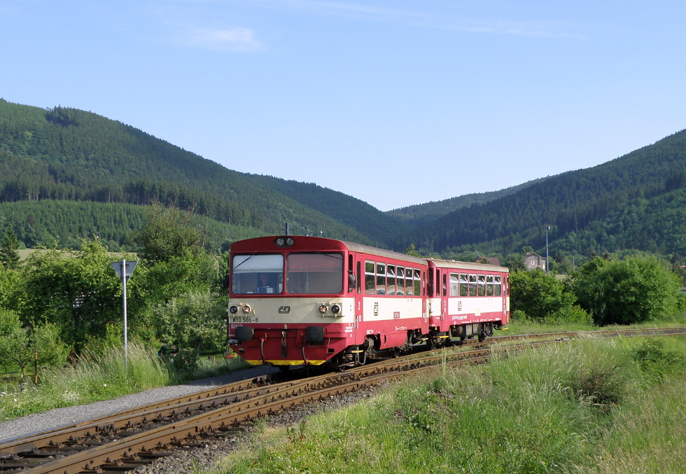 810 586-8