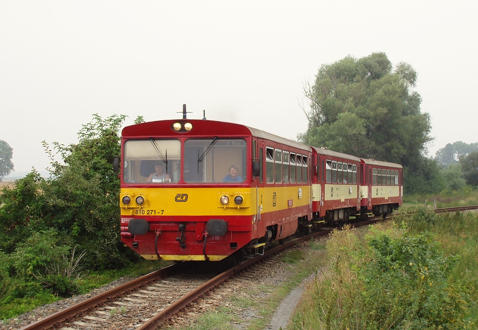 810 271-7